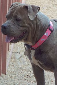 Picture of Brandi