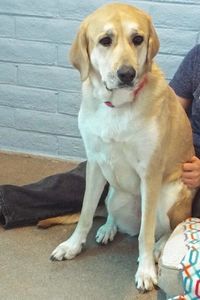 Picture of Delilah