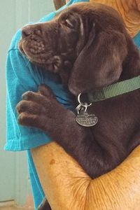 Picture of Jango