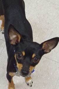 Picture of Ralph