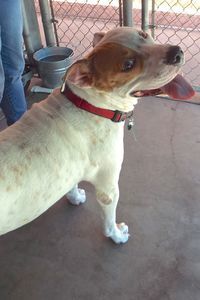 Picture of Smily