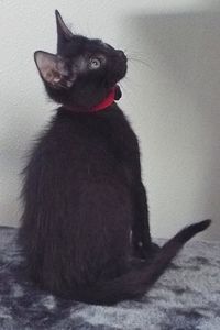 Picture of Soy