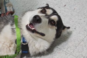 Picture of Zeus