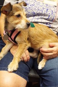 Picture of Aggie