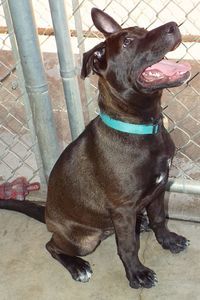 Picture of Bonnie