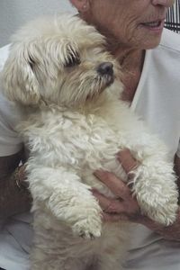 Picture of Duncan