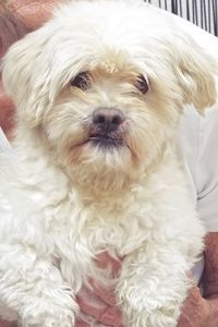 Picture of Duncan