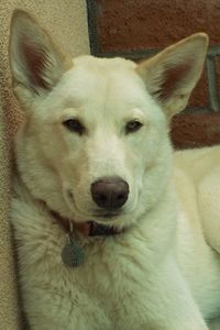 Picture of Maddy
