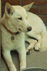 Picture of Maddy
