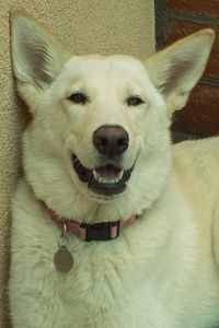 Picture of Maddy