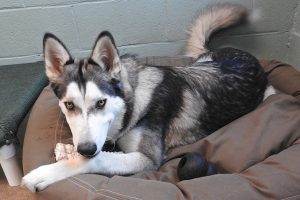 Picture of Alaska