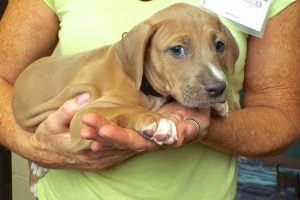 Picture of Greg
