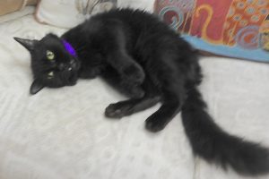 Picture of Kimmie