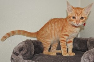 Picture of Minnie