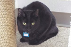 Picture of Sami-John