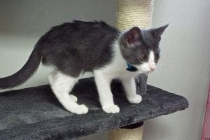 Picture of Sebastian