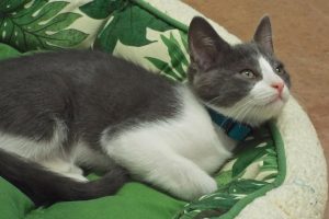 Picture of Sebastian