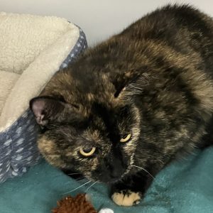 Picture of Delilah