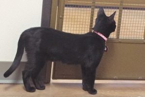 Picture of Doris