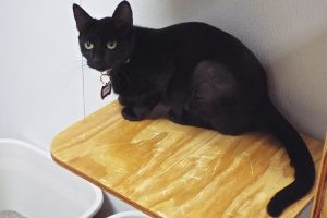 Picture of Doris