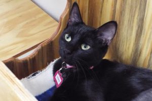 Picture of Doris