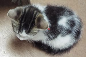 Picture of Mel