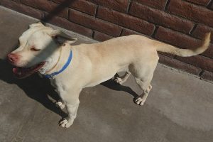 Picture of Sandie