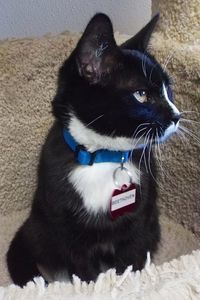 Picture of Beethoven