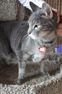 Picture of Britches