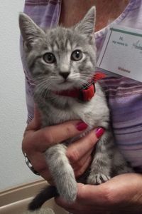 Picture of Cloudy