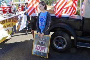 Picture of White Elephant Parade 2019
