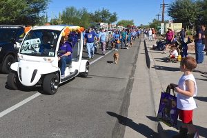 Picture of White Elephant Parade 2019