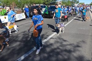 Picture of White Elephant Parade 2019