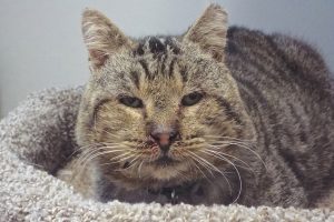 Picture of Earl