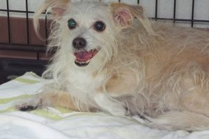 Picture of Lexi