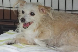 Picture of Lexi