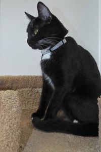 Picture of Little One