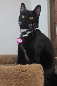 Picture of Little One