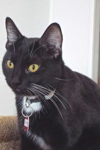 Picture of Little One
