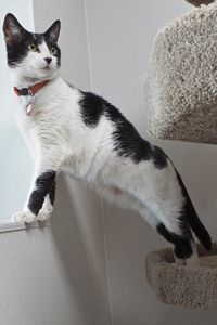 Picture of Muffy