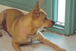 Picture of Rosita