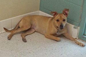 Picture of Rosita