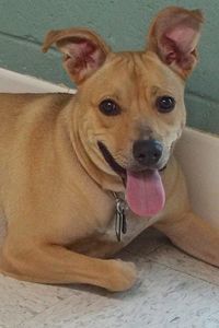 Picture of Rosita