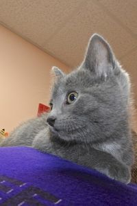 Picture of Stormy