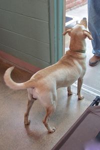 Picture of Tilly