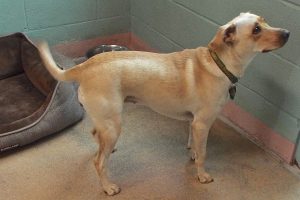 Picture of Tilly