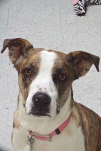 Picture of Traci