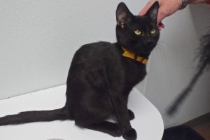 Picture of Fred