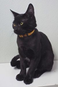 Picture of Fred