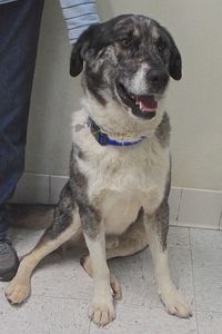 Picture of Patch